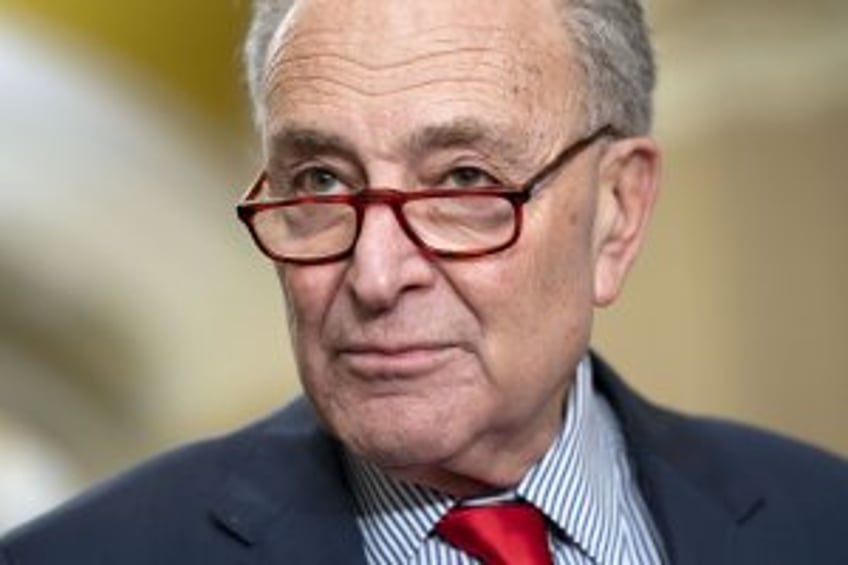 Sen. Chuck Schumer calls for new elections in Israel