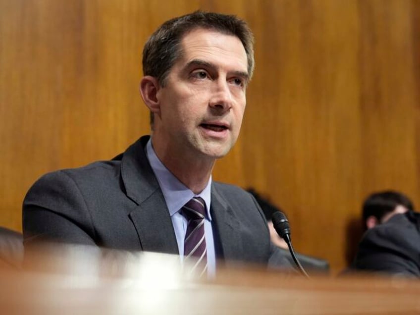 Tom Cotton (Susan Walsh / Associated Press)