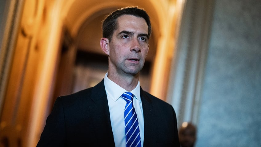 sen cotton urges dhs to deport foreign nationals who support hamas no place in the united states