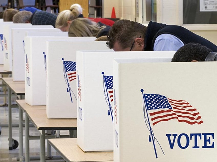 Voters cast their ballots on Election Day November 04, 2008, at Centreville High School in