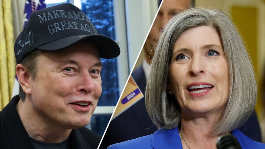 Elon Musk, Joni Ernst