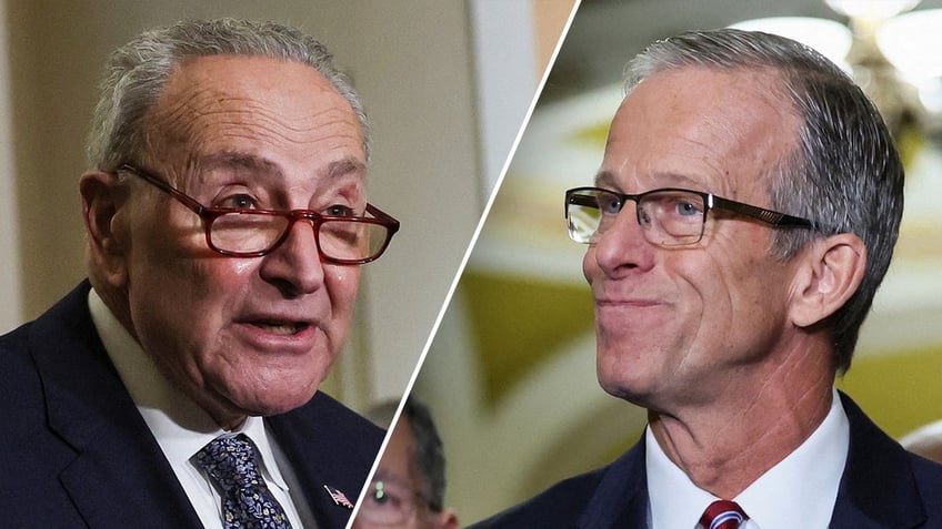 Chuck Schumer, John Thune