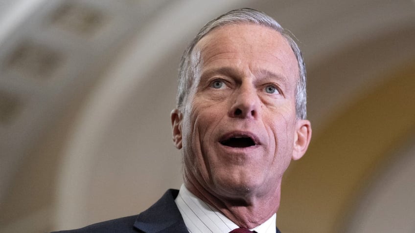 Senate Majority Leader Sen. John Thune of South Dakota speaks to reporters on Feb. 11, 2025.