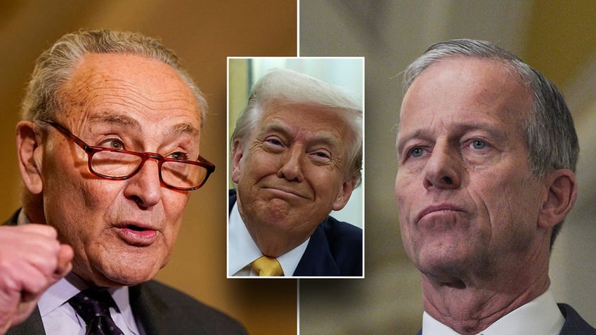 Chuck Schumer, Donald Trump, John Thune