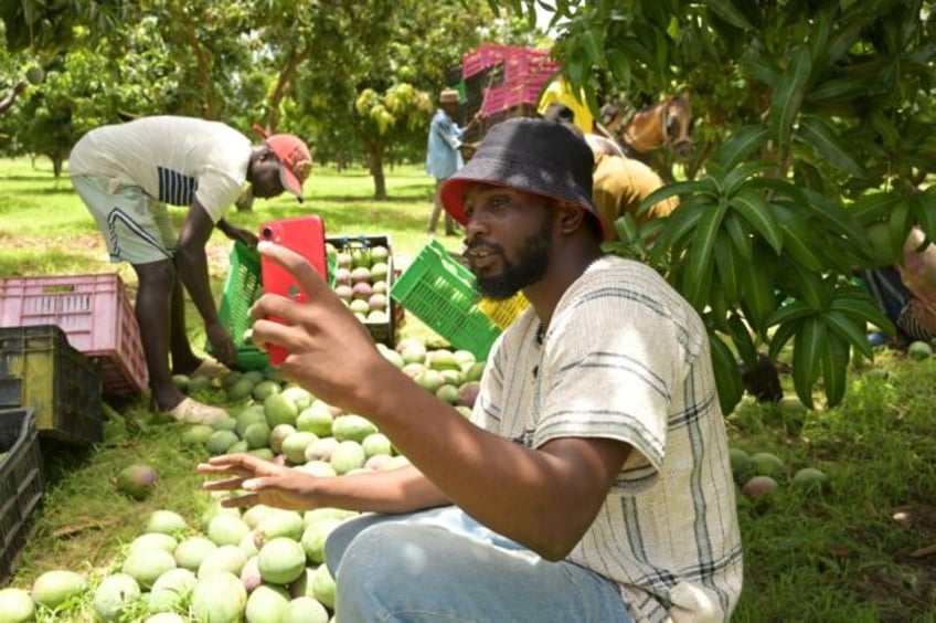 Agro-influencer Mame Abdou Diop has seen his client base more than double since launching