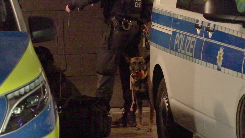 23 December 2023, North Rhine-Westphalia, Cologne: The still image from a video shows a police sniffer dog on duty at the cathedral. Visitors to religious services at Cologne Cathedral and tourists will have to be prepared for increased security standards over the next few days. The police will be taking special protective measures due to a threat report, the authorities announced on 23.12.2023. State security, which is active in politically motivated crimes, has begun investigations. (to dpa "Cologne Cathedral with special protective measures: sniffer dogs on duty") Photo: Sascha Thelen/dpa (Photo by Sascha Thelen/picture alliance via Getty Images)