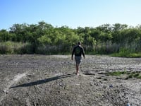 Severe drought strains wildlife and tourism in Florida’s Everglades