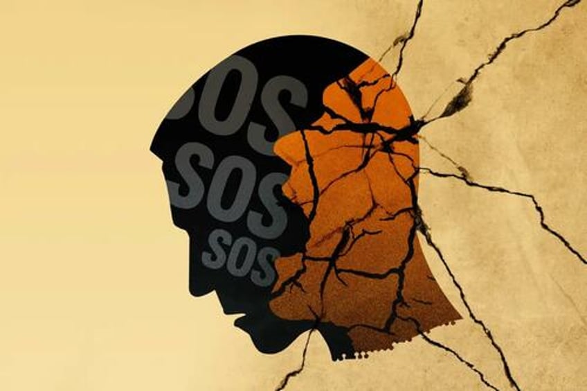 severe mental illness the ignored public health crisis