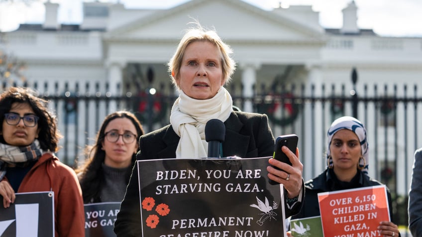 sex and the city star cynthia nixon begins hunger strike demanding gaza ceasefire from biden