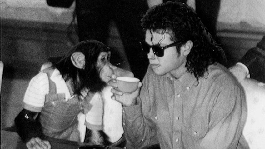 sexual abuse lawsuits against michael jackson could be revived by california appeals court