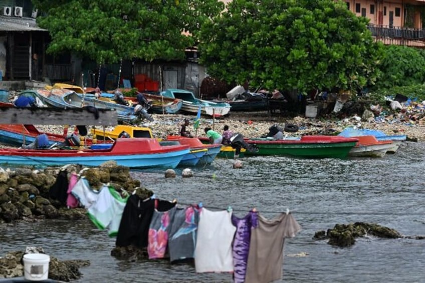 The Pacific's Solomon Islands has become a key player in the global live animal trade, wit