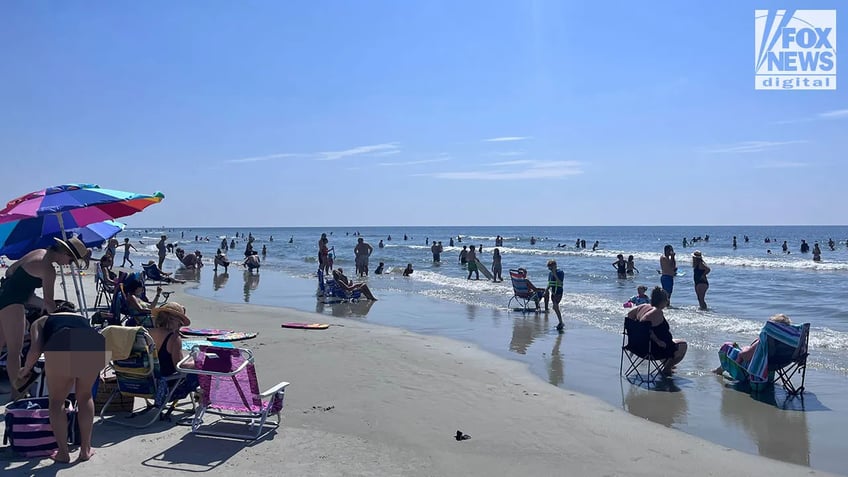 shark bites man at hilton head island beach in south carolina officials say