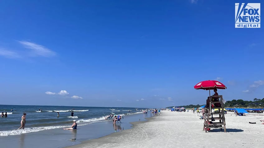 shark bites man at hilton head island beach in south carolina officials say