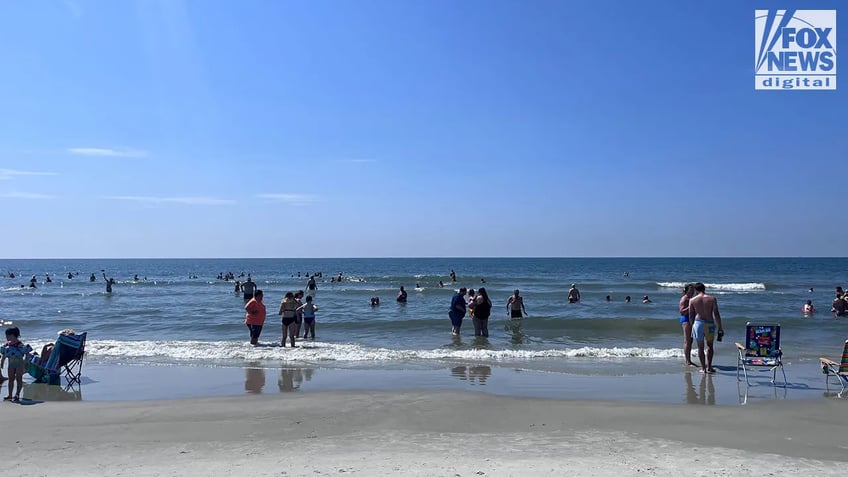 shark bites man at hilton head island beach in south carolina officials say