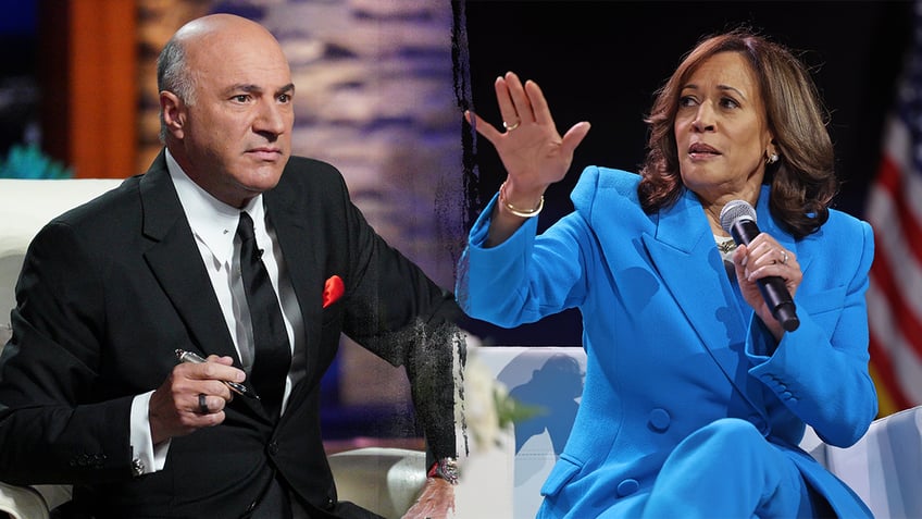 Kevin O'Leary and VP Harris split image