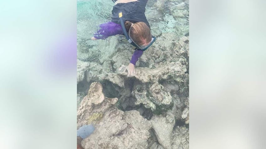 back in the water. This was the first time snorkeling in ocean Cove, Aruba.