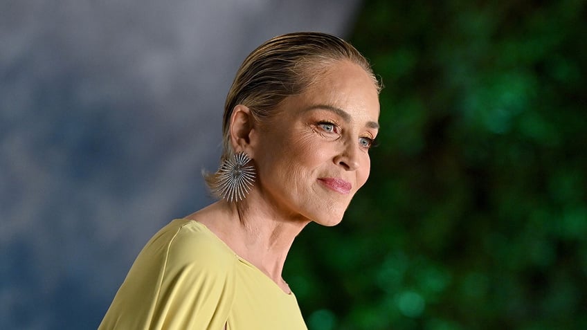 sharon stone claims doctors misdiagnosed brain hemorrhage because staff believed she was faking it