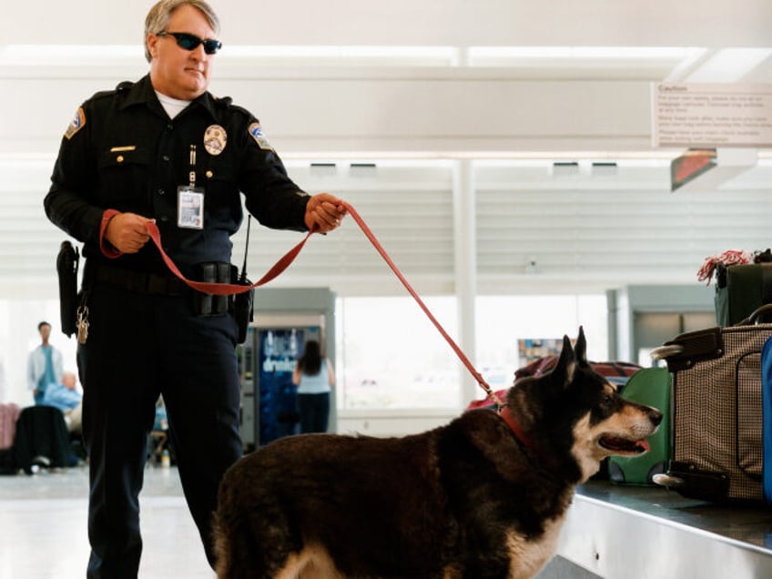 K-9 sniffing baggage at airport