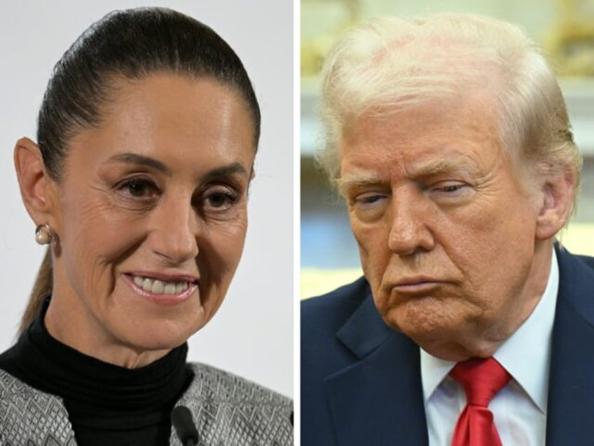 Mexico's President Claudia Sheinbaum says she rejected an offer from US President Donald T