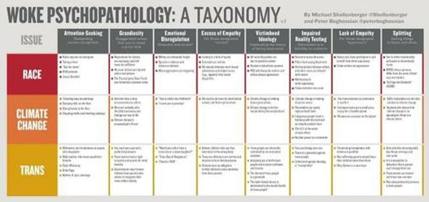 shellenberger why this one simple chart will end wokeism