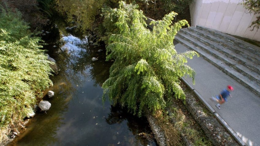 Guadalupe River