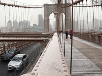 Ship with over 200 People on Board Hits Brooklyn Bridge