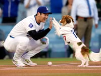 Shohei Ohtani co-writes children’s book starring his dog Decoy
