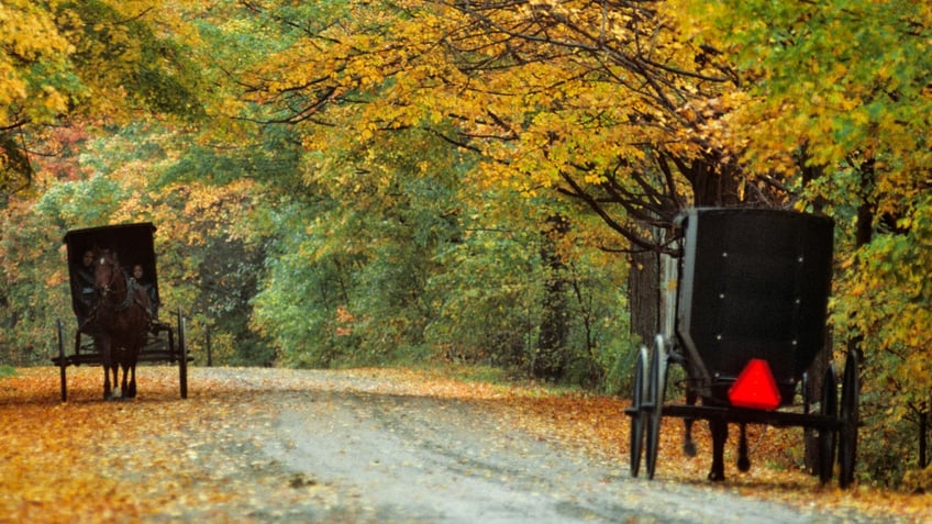 Amish buggies