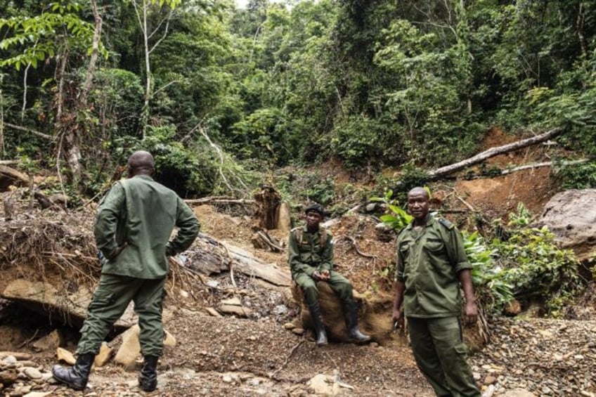 Sierra Leone has one of the highest deforestation rates in the world