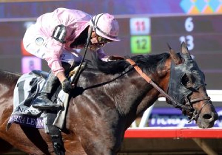 Sierra Leone's upset win in Breeder's Cup Classic leaves year-end honors in question