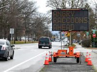 Sign in Washington hacked to display surprising warning about 'angry raccoons'