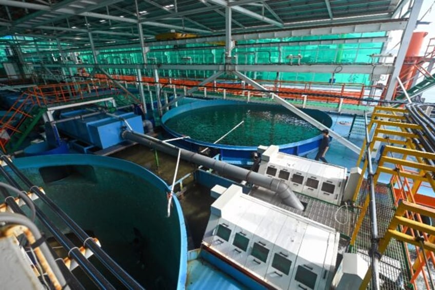 Fish tanks at Singapore's Eco Ark simulate ocean conditions that allow fish to swim agains