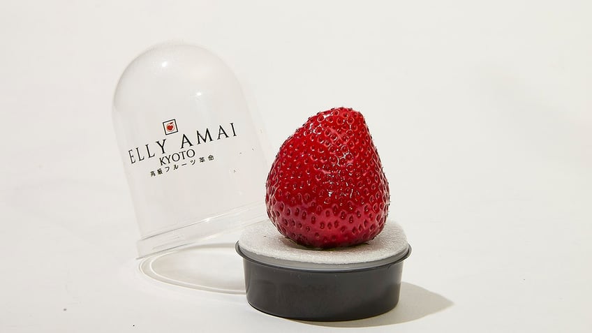 elly amai single strawberry