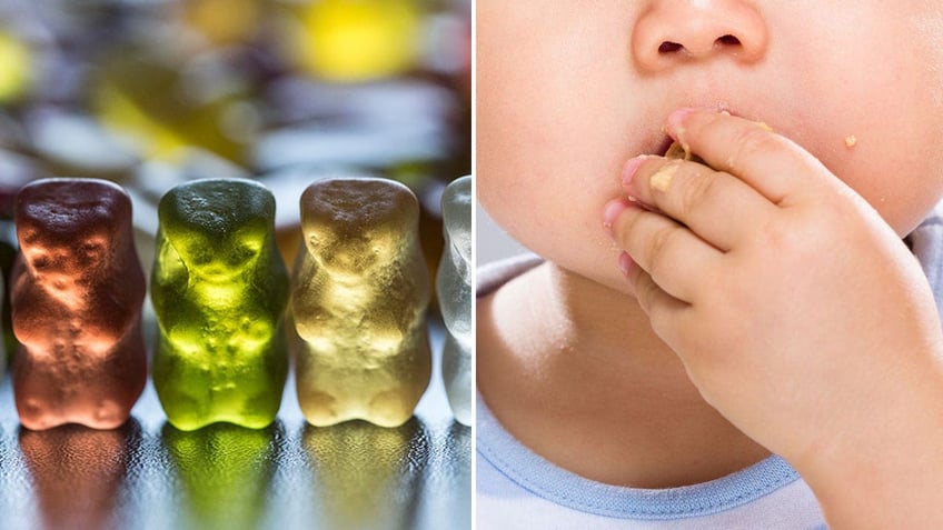 six children hospitalized in florida after eating cannabis gummies at after school program