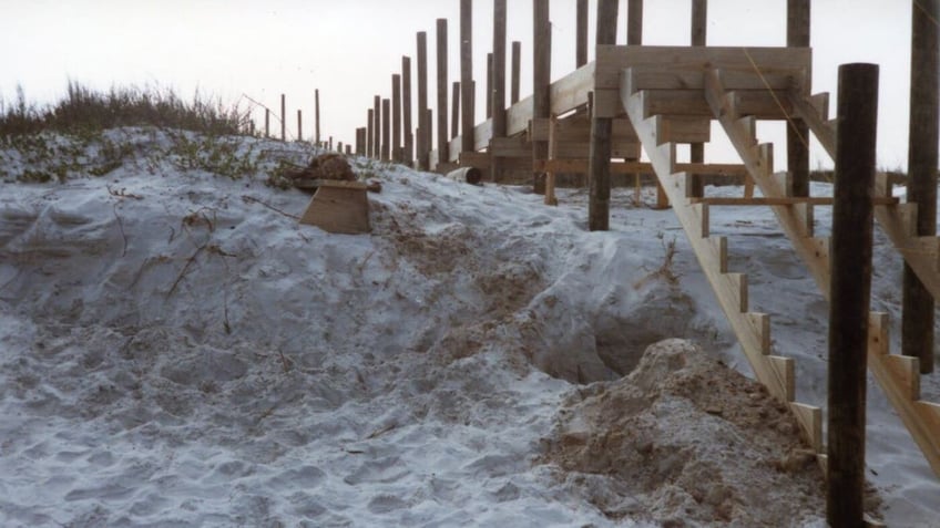 Remains on beach