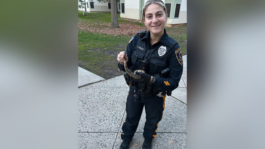 slithering surprise baby python discovered inside new jersey dorm room