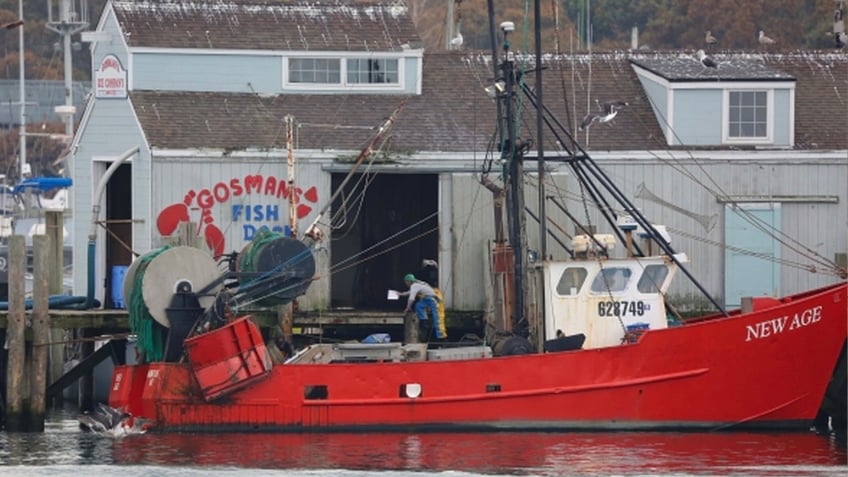 small town fisherman harpooned on federal charges for catch thats legal in other states lawyer