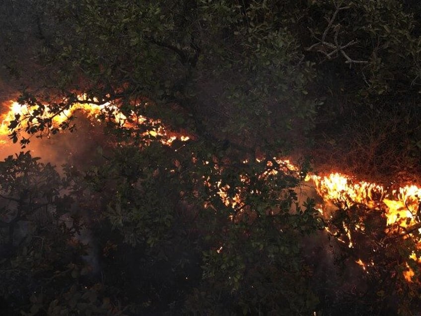 Fires spread through the Brasilia National Forest, Brazil, in the middle of the dry season