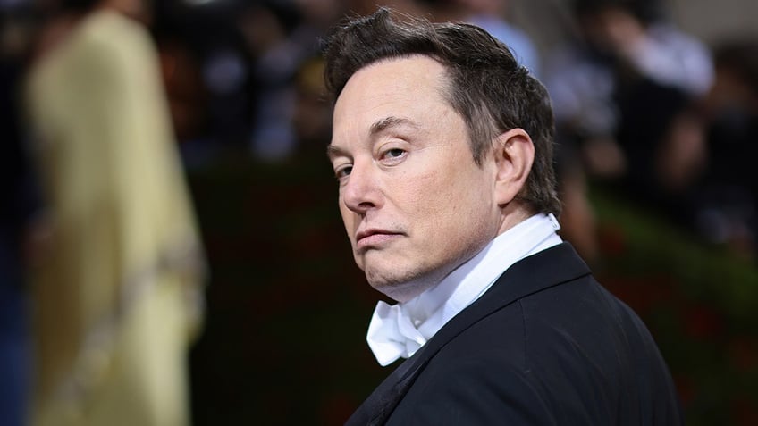 Elon Musk looks back and raises his eyebrows on the Met Gala carpet