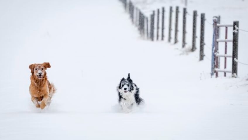 snow hits northern cascades and rockies in the first major storm of the season after a warm fall