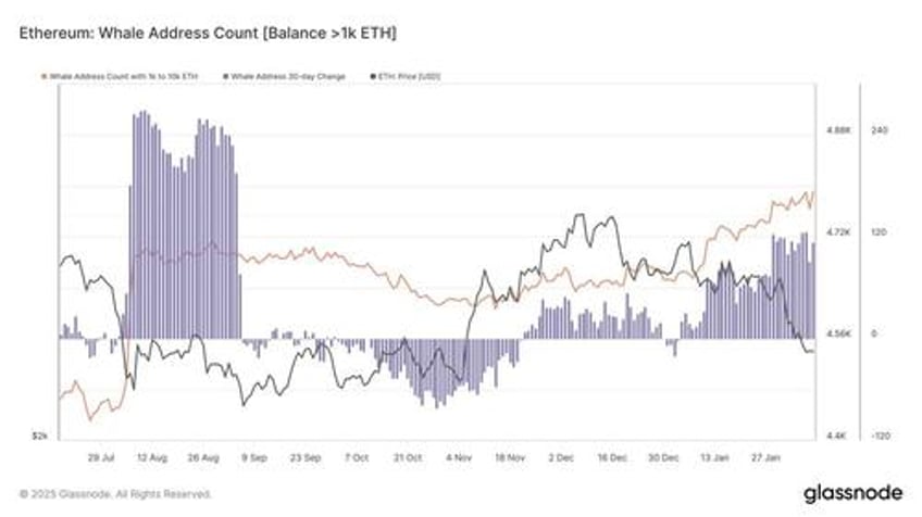 solana vs ethereum a tale of two blockchains