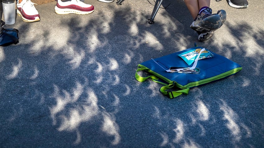 crescent shadows on the ground during annular eclipse