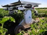 Solar-powered robot zaps weeds without chemicals