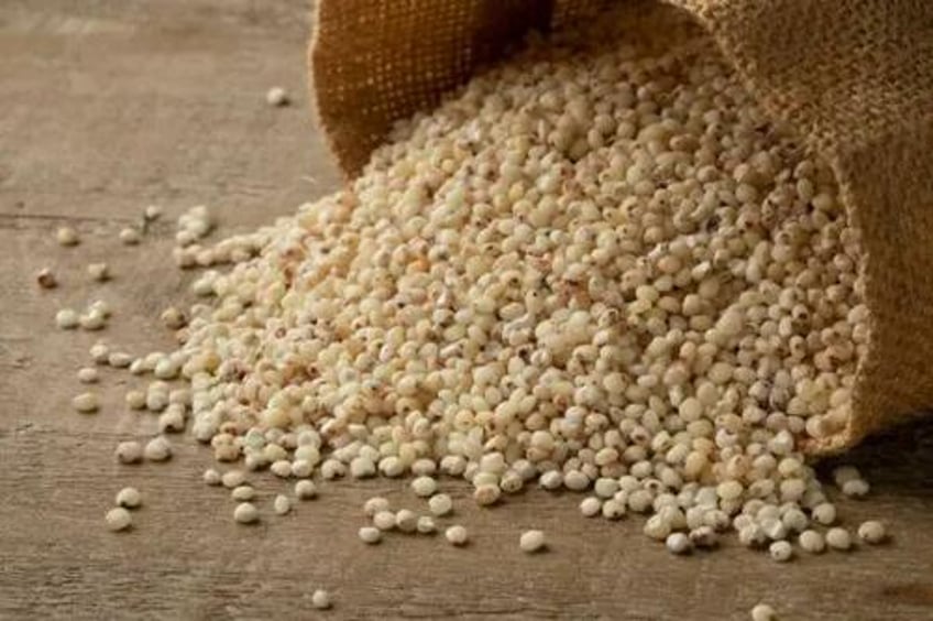 sorghum the ancient grain for modern health