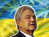 Soros-Backed NGOs Push Legalized Marijuana For Ukrainians Amid Devastating War