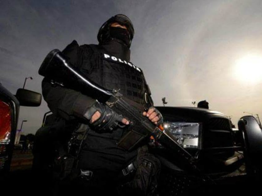 sources los zetas drug cartel established a safe haven near texas border