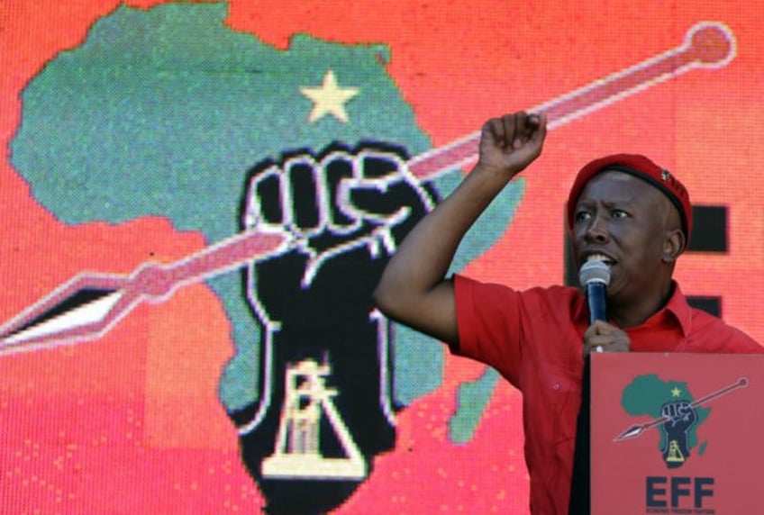 south africa potential election kingmaker leads stadium in white genocide chant