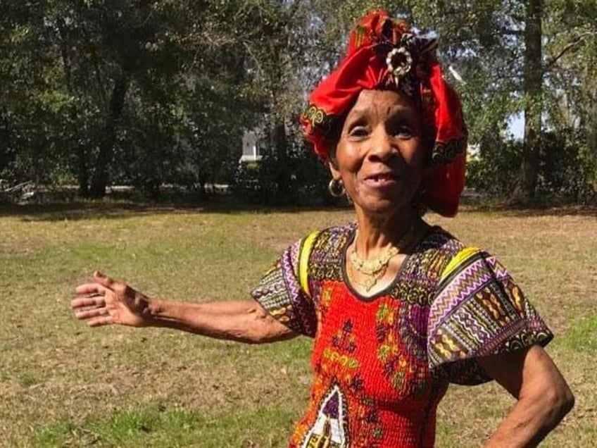 south carolina grandma hits 350k fundraising goal in legal battle for family land