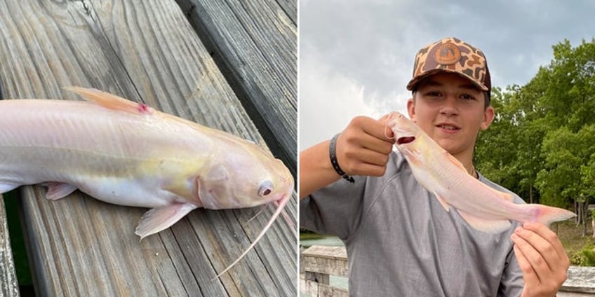 south carolina teen fishes for catfish for the first time reels in extremely rare find