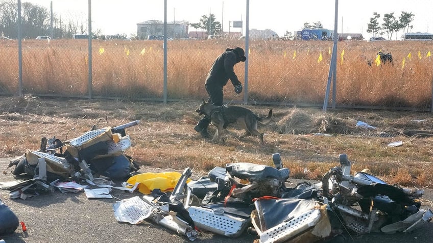 South Korea crash debris as a police officer works with a dog